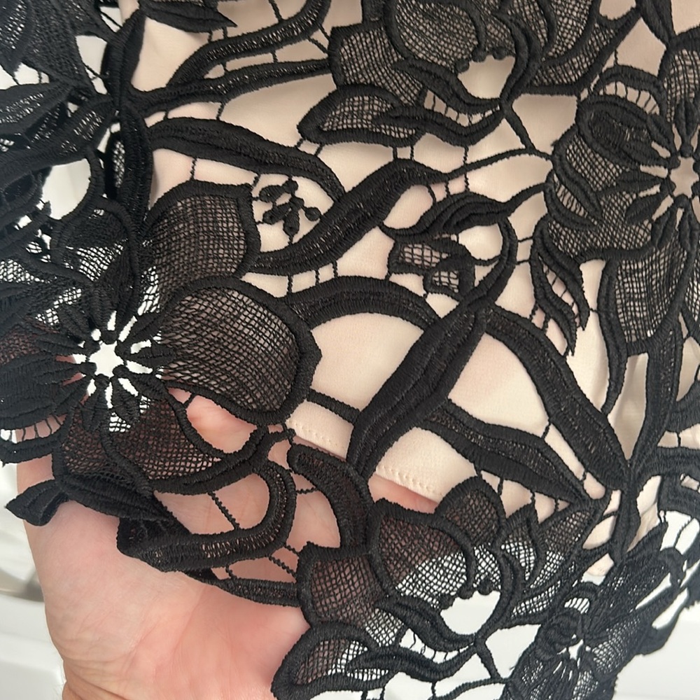 Alice and Olivia Emmeline Handkerchief Lace Camisole - Picture 4 of 6